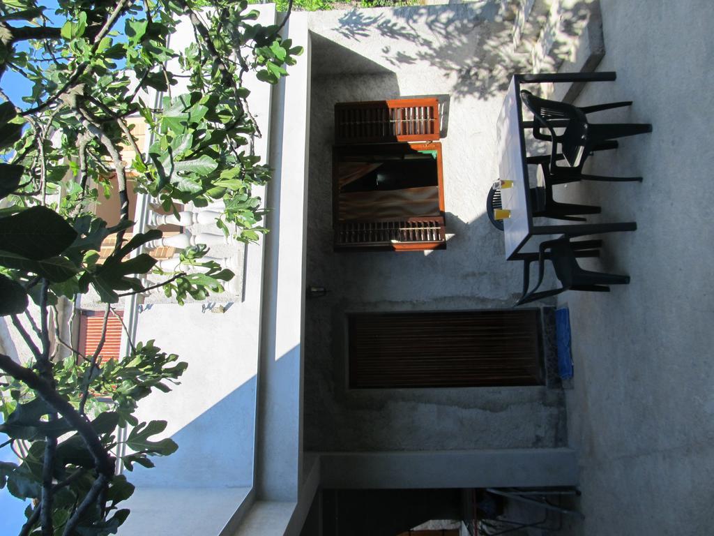 Hotel Petrcane Exterior photo