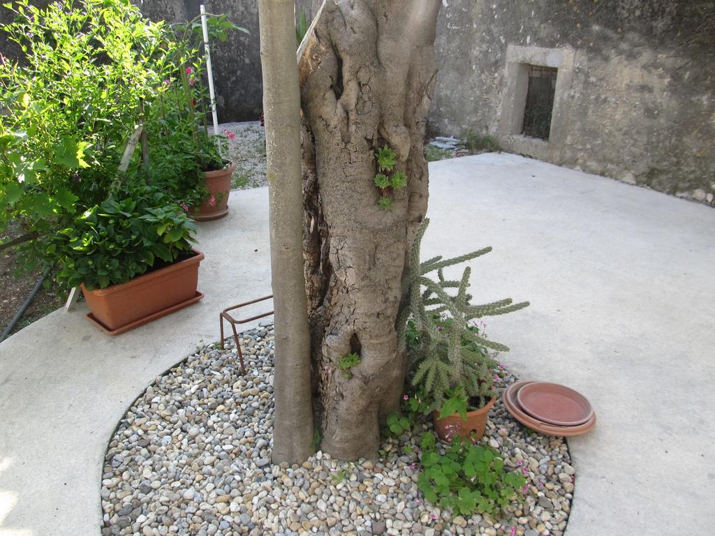 Hotel Petrcane Exterior photo