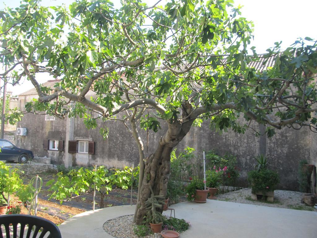 Hotel Petrcane Exterior photo