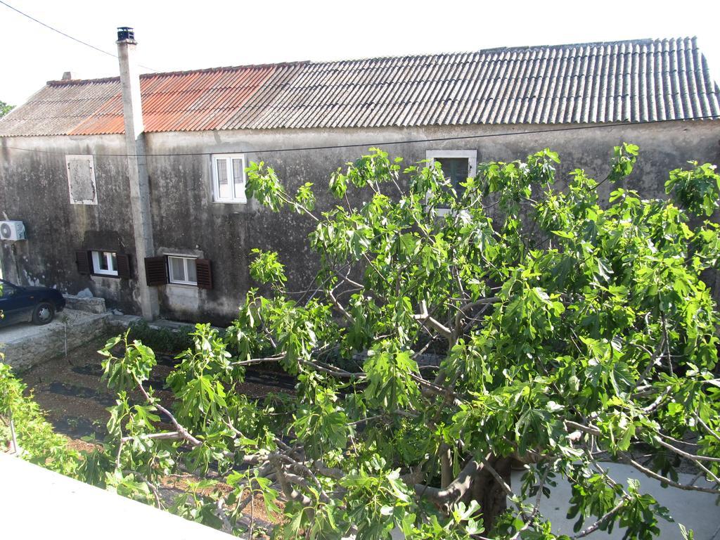 Hotel Petrcane Exterior photo